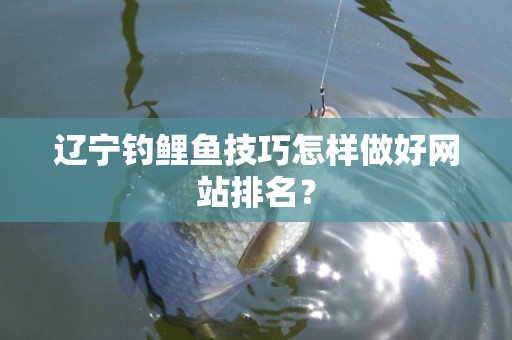 辽宁钓鲤鱼技巧怎样做好网站排名？