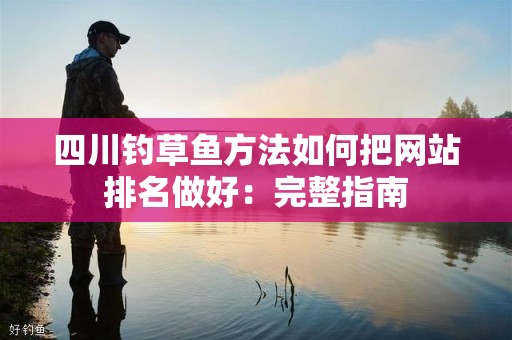 四川钓草鱼方法如何把网站排名做好：完整指南
