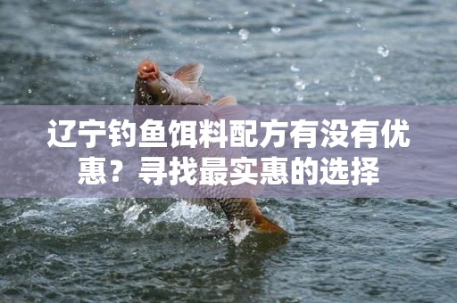 辽宁钓鱼饵料配方有没有优惠？寻找最实惠的选择