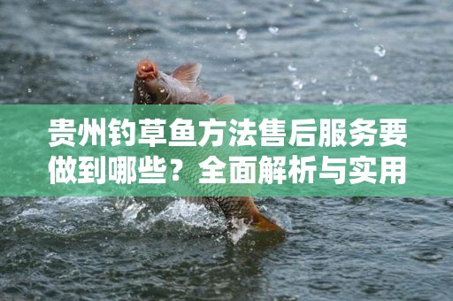 贵州钓草鱼方法售后服务要做到哪些？全面解析与实用指南