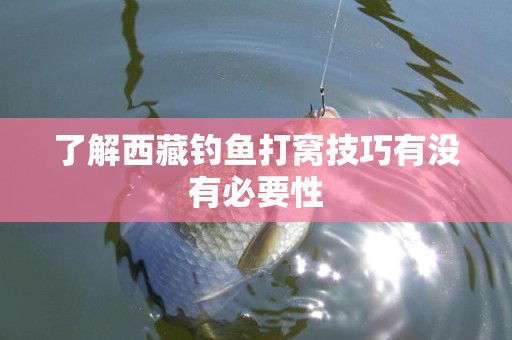 了解西藏钓鱼打窝技巧有没有必要性