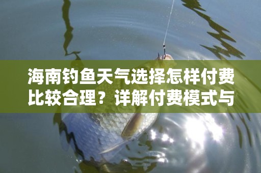 海南钓鱼天气选择怎样付费比较合理？详解付费模式与选择技巧
