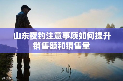 山东夜钓注意事项如何提升销售额和销售量