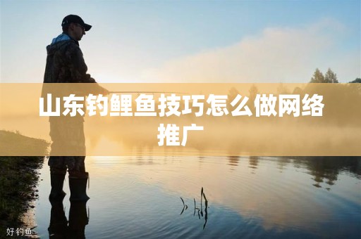 山东钓鲤鱼技巧怎么做网络推广