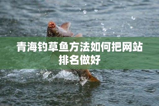 青海钓草鱼方法如何把网站排名做好