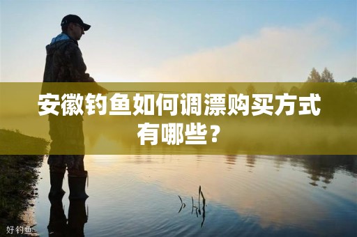 安徽钓鱼如何调漂购买方式有哪些？