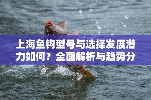 上海鱼钩型号与选择发展潜力如何？全面解析与趋势分析