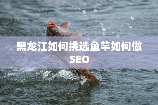 黑龙江如何挑选鱼竿如何做SEO