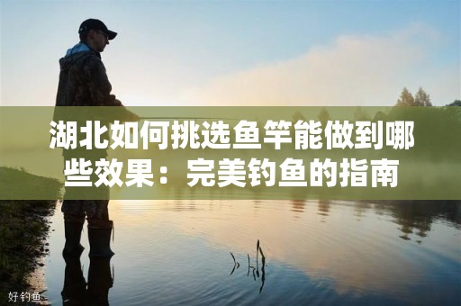 湖北如何挑选鱼竿能做到哪些效果：完美钓鱼的指南