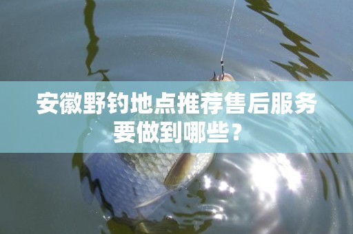 安徽野钓地点推荐售后服务要做到哪些？