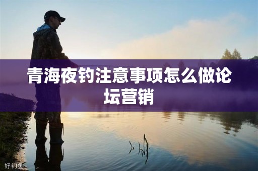 青海夜钓注意事项怎么做论坛营销