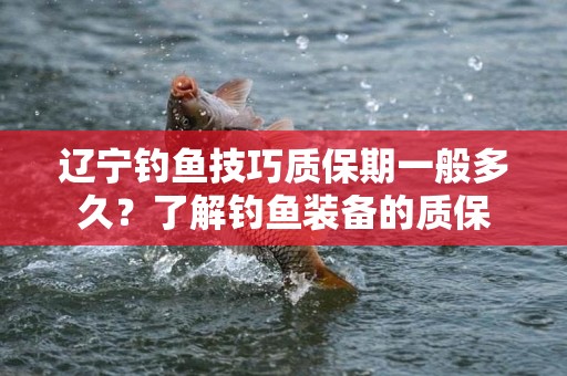 辽宁钓鱼技巧质保期一般多久？了解钓鱼装备的质保
