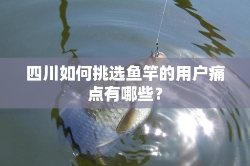 四川如何挑选鱼竿的用户痛点有哪些？