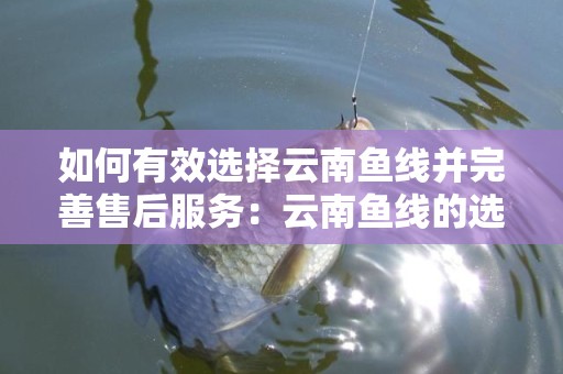 如何有效选择云南鱼线并完善售后服务：云南鱼线的选择方法售后服务要做到哪些