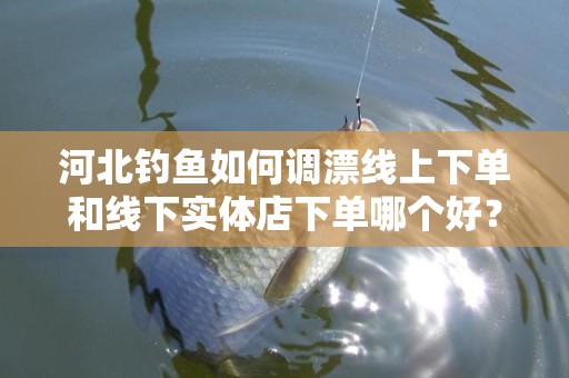 河北钓鱼如何调漂线上下单和线下实体店下单哪个好？