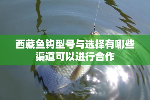 西藏鱼钩型号与选择有哪些渠道可以进行合作