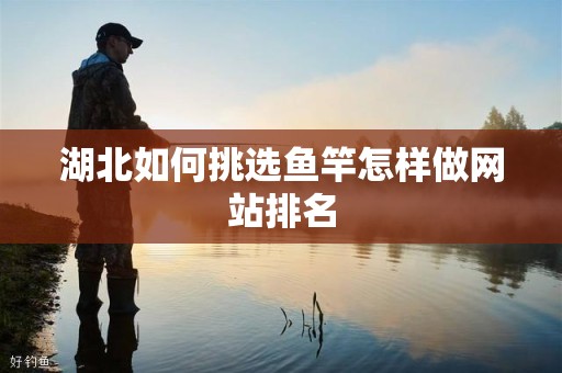 湖北如何挑选鱼竿怎样做网站排名