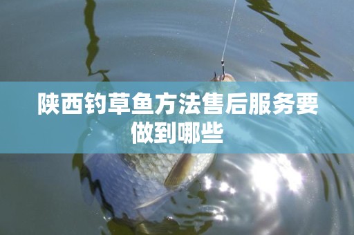 陕西钓草鱼方法售后服务要做到哪些