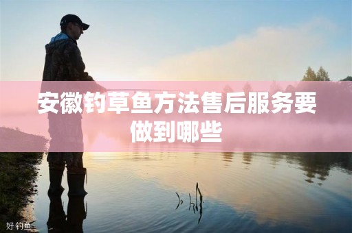 安徽钓草鱼方法售后服务要做到哪些