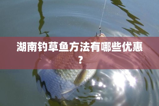 湖南钓草鱼方法有哪些优惠？