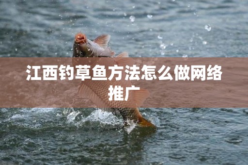 江西钓草鱼方法怎么做网络推广