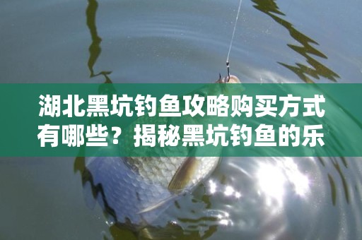 湖北黑坑钓鱼攻略购买方式有哪些？揭秘黑坑钓鱼的乐趣与方法