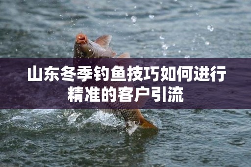 山东冬季钓鱼技巧如何进行精准的客户引流