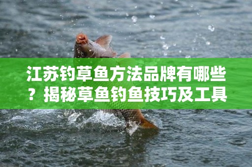 江苏钓草鱼方法品牌有哪些？揭秘草鱼钓鱼技巧及工具选择