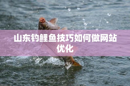 山东钓鲤鱼技巧如何做网站优化