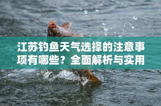 江苏钓鱼天气选择的注意事项有哪些？全面解析与实用指南