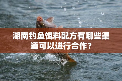 湖南钓鱼饵料配方有哪些渠道可以进行合作？