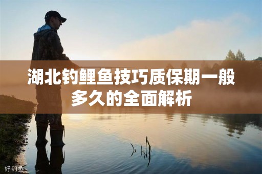 湖北钓鲤鱼技巧质保期一般多久的全面解析