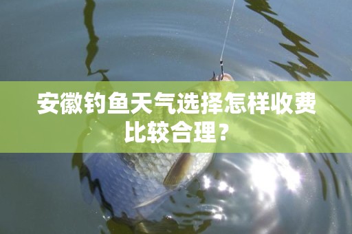 安徽钓鱼天气选择怎样收费比较合理？