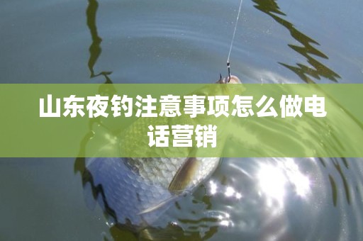 山东夜钓注意事项怎么做电话营销