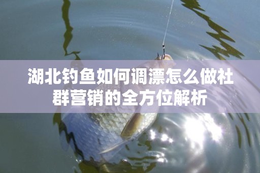 湖北钓鱼如何调漂怎么做社群营销的全方位解析