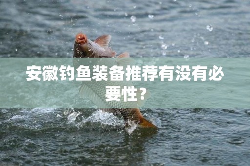 安徽钓鱼装备推荐有没有必要性？