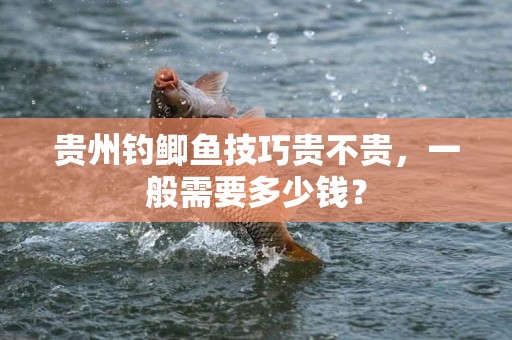贵州钓鲫鱼技巧贵不贵，一般需要多少钱？