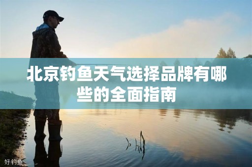 北京钓鱼天气选择品牌有哪些的全面指南