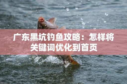 广东黑坑钓鱼攻略：怎样将关键词优化到首页