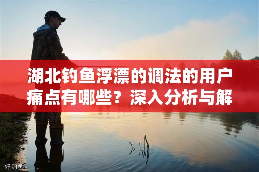 湖北钓鱼浮漂的调法的用户痛点有哪些？深入分析与解决方案