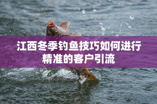 江西冬季钓鱼技巧如何进行精准的客户引流