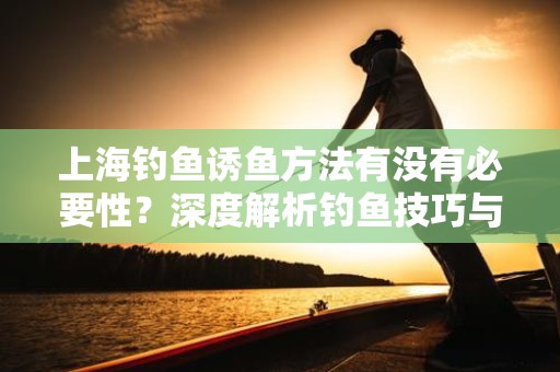 上海钓鱼诱鱼方法有没有必要性？深度解析钓鱼技巧与策略