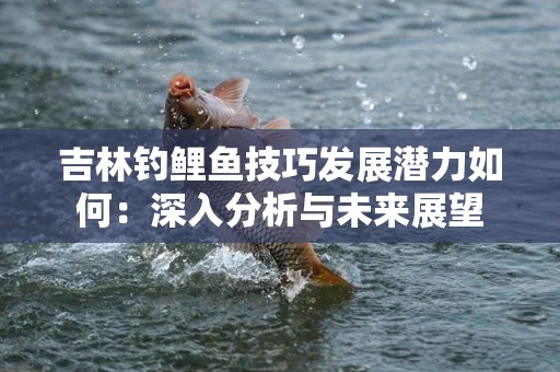 吉林钓鲤鱼技巧发展潜力如何：深入分析与未来展望
