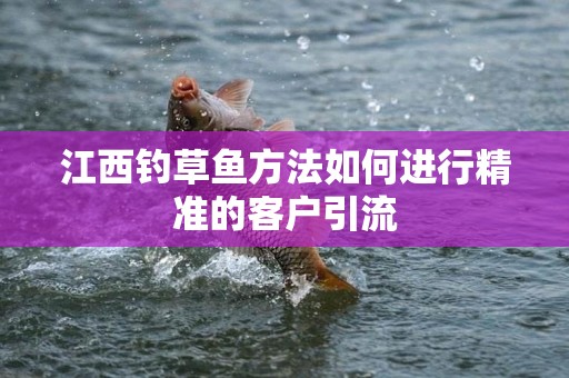 江西钓草鱼方法如何进行精准的客户引流
