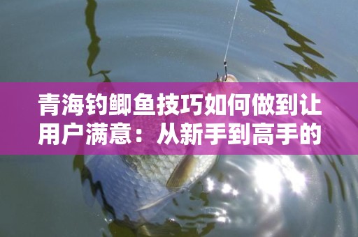 青海钓鲫鱼技巧如何做到让用户满意：从新手到高手的全方位指南