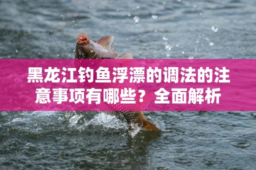 黑龙江钓鱼浮漂的调法的注意事项有哪些？全面解析