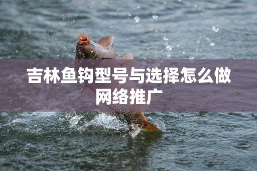 吉林鱼钩型号与选择怎么做网络推广