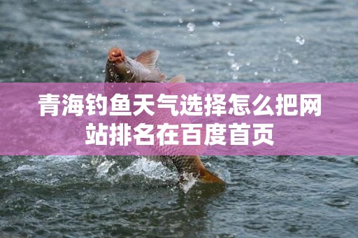 青海钓鱼天气选择怎么把网站排名在百度首页