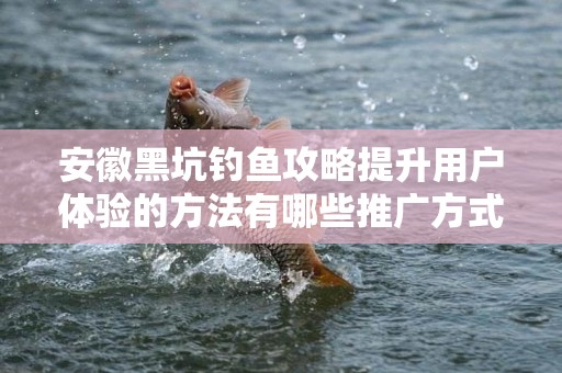 安徽黑坑钓鱼攻略提升用户体验的方法有哪些推广方式有哪些