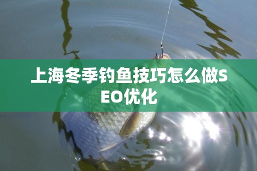 上海冬季钓鱼技巧怎么做SEO优化